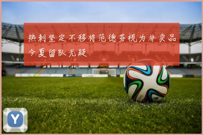 热刺坚定不移将范德芬视为非卖品今夏留队无疑
