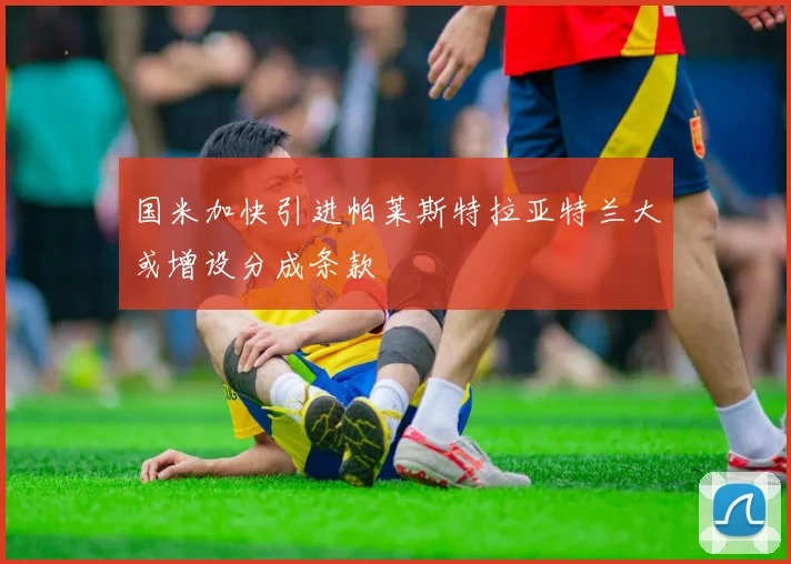 国米加快引进帕莱斯特拉亚特兰大或增设分成条款