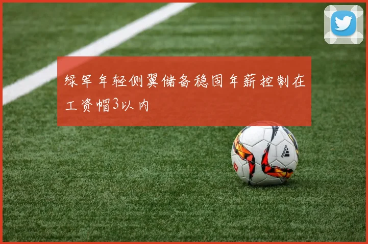 绿军年轻侧翼储备稳固年薪控制在工资帽3以内